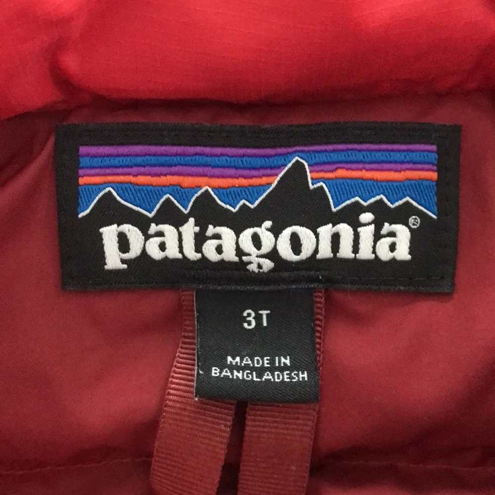 Patagonia Puffer Jacket (size 3T)